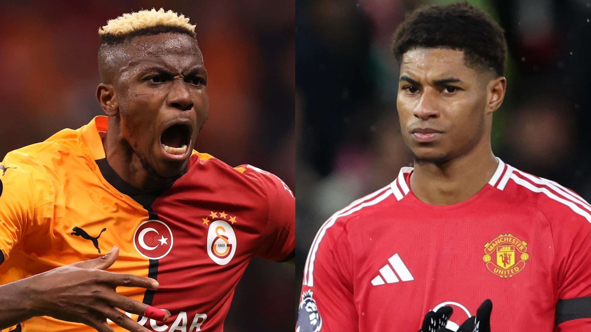 现出卓越的 现出卓越的