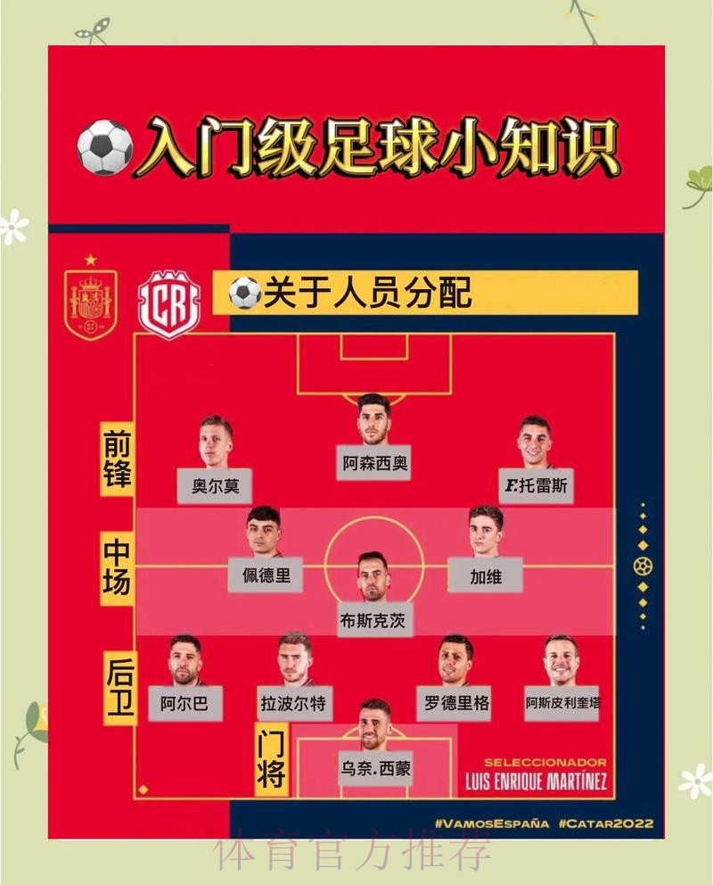 世界杯买球入口安全与合法性分析